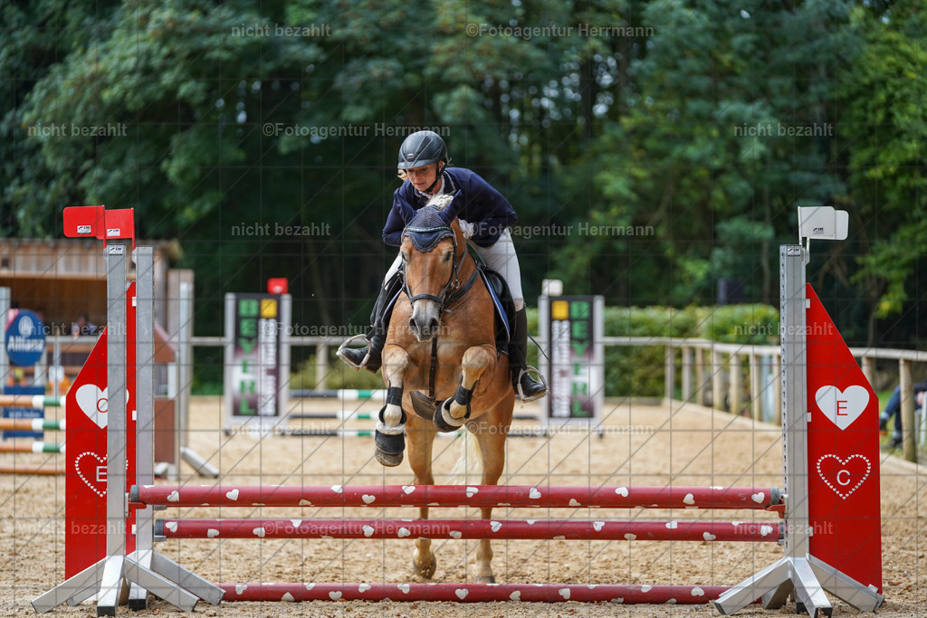 20231008-SN_01010 | Professionelle Turnier- und Reitsportfotografie - mit dem Finger am Auslöser. Pferdebilder aus dem Reitsport von den Turnierfotografen  Bayern , Pferdefotograf Bayern, Pferdeshooting Turnierbilder, Hochzeitsfotograf, Eventfotograf, Hochzeitsbilder
