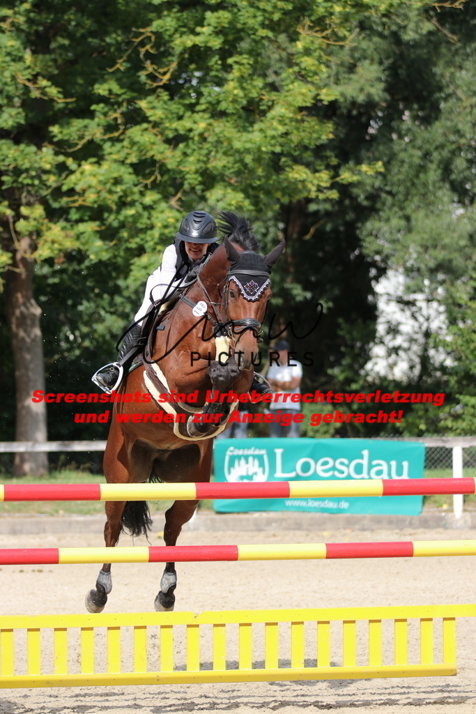 IMG_0729 | lmwpictures - Realisiert mit Pictrs.com