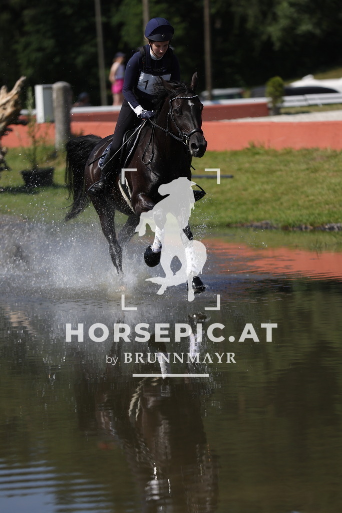 0P6A5962 | Willkommen bei Brunnmayr - Design & Fotografie – Ihrem Spezialisten für Reitturniere und Pferdeveranstaltungen in Oberösterreich, Salzburg und Bayern! Seit über 17 Jahren sind wir leidenschaftlich dabei.