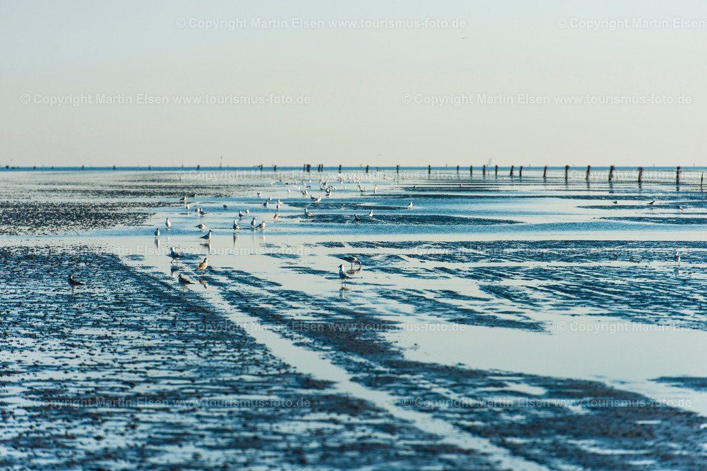 Cuxhaven_ELS_8221260716 | Fotos aus den Touristenorten aus Norddeutschland. - Realisiert mit Pictrs.com