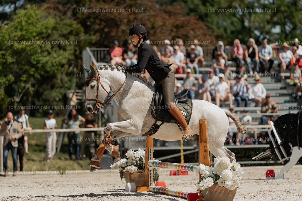 WE_SP_Stoib_336_PI2025_1709 | Pferd International München 2025