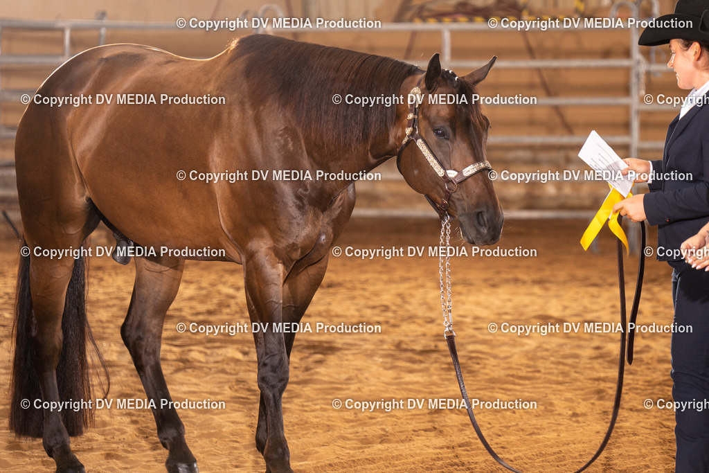 NID00151 | dv-media-shop - Realisiert mit Pictrs.com