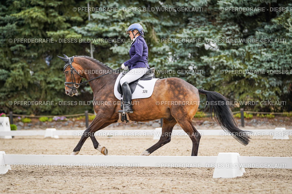 DSC02024 | Pferdegrafie