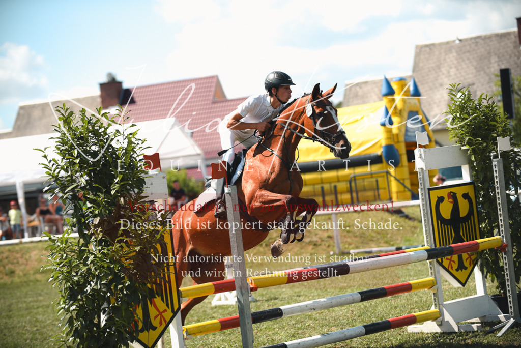 DSC_6573 | Pferde- und Turnierfotografie in Westsachsen. Pferdeportraits, Auftragszeichnungen und intuitive Kunst.