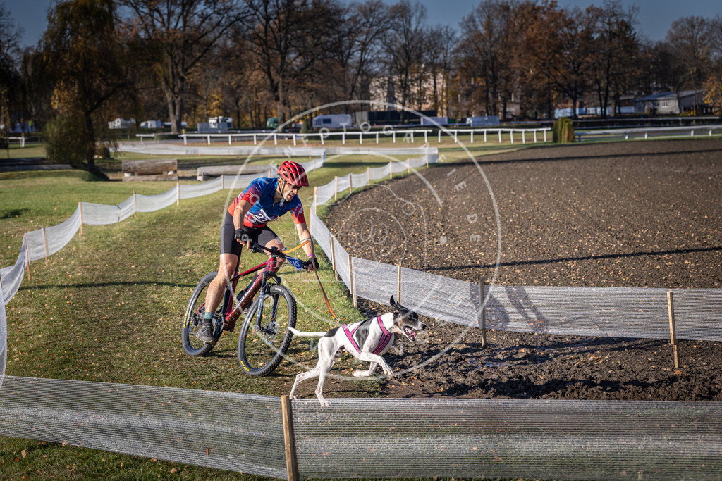 CaniXpix_DV3A3191 | Hundefotografie, Tierfotograf, Pfotenfotografie, Fotoshooting Hund, Hunde Portrait, Hundesport, Hundeportraits, Heideshooting, Hunde, Sportfotograf, Hundefotograf, Turnierhundsport, THS,  - Realisiert mit Pictrs.com