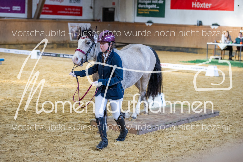 Sth-WBO25-Führ-WB-078 | MomenTaufnahmen Pferdesportfotos