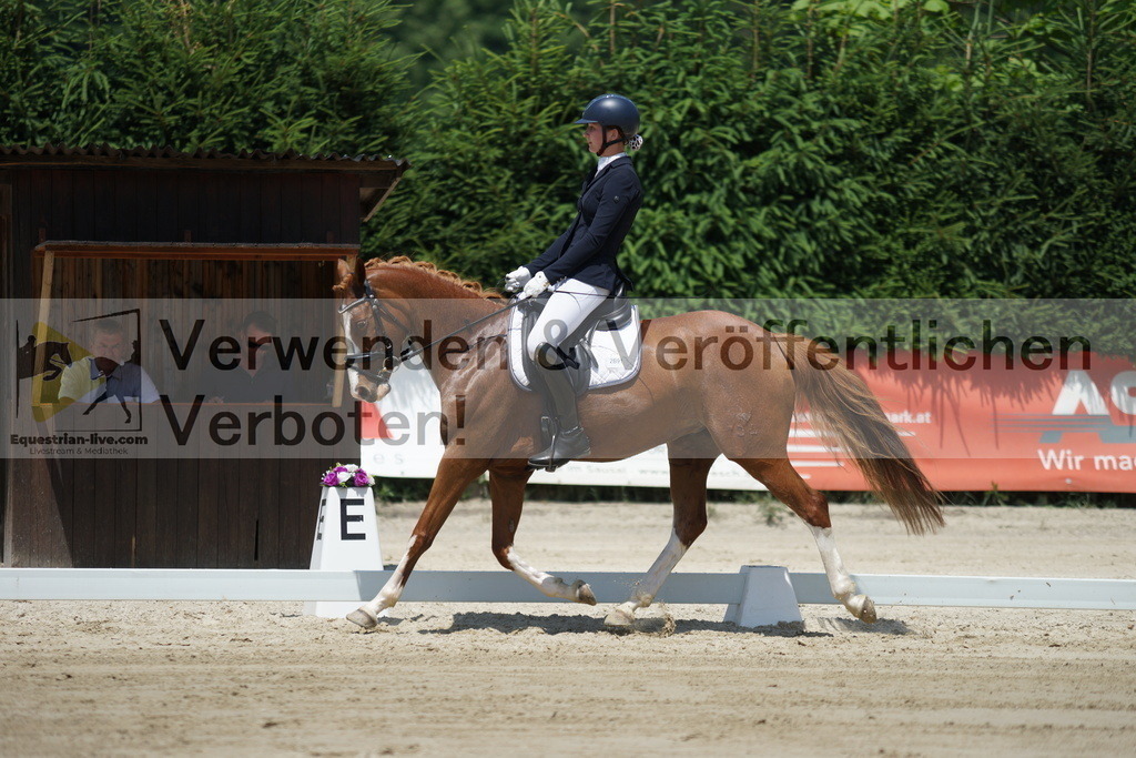 DSC04924 | equestrian-live-com