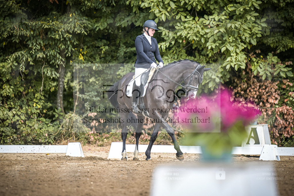 DOS_0175 | Entdecke hochwertige Reitturnierfotos von Foto Oger. Professionell, emotional und authentisch – jetzt Lieblingsmomente im Shop bestellen. - Realisiert mit Pictrs.com