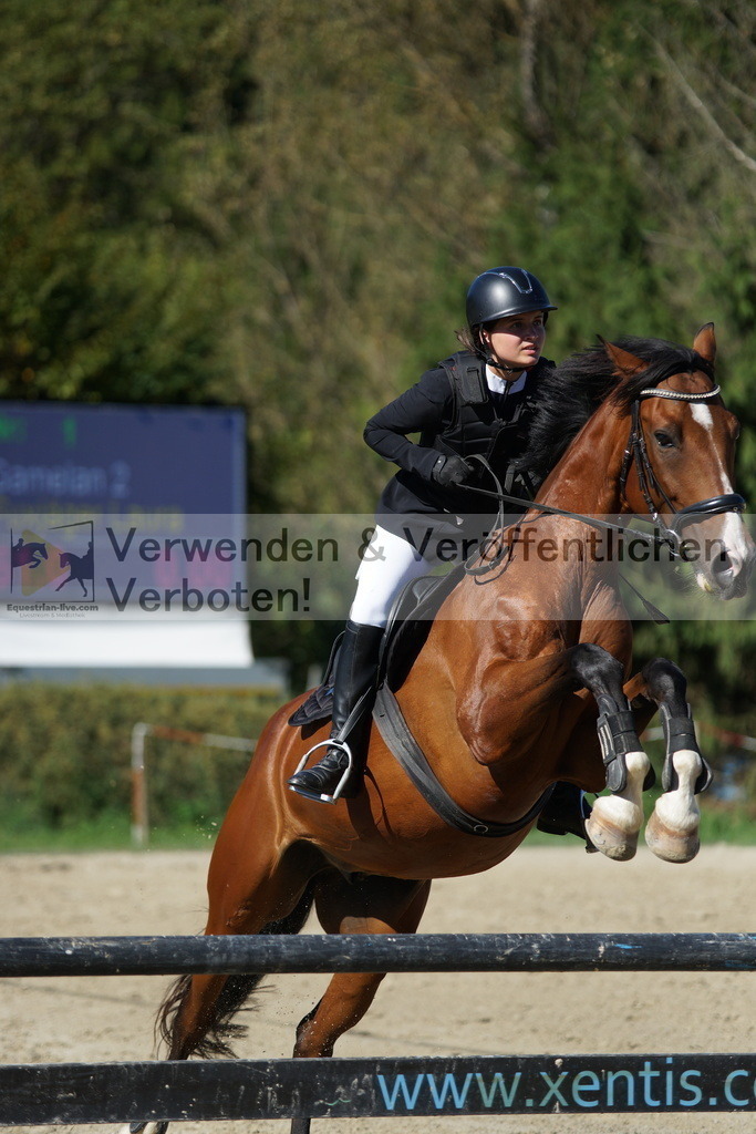 DSC08409 | equestrian-live-com