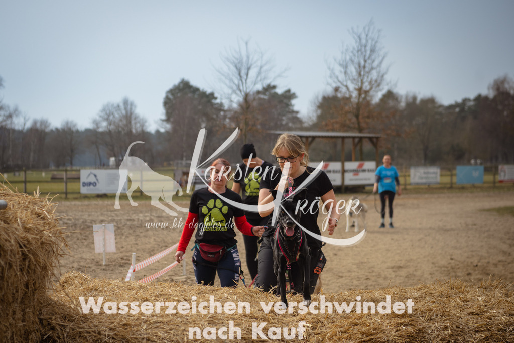 1133_ZZ94231 | kk-dogfotos