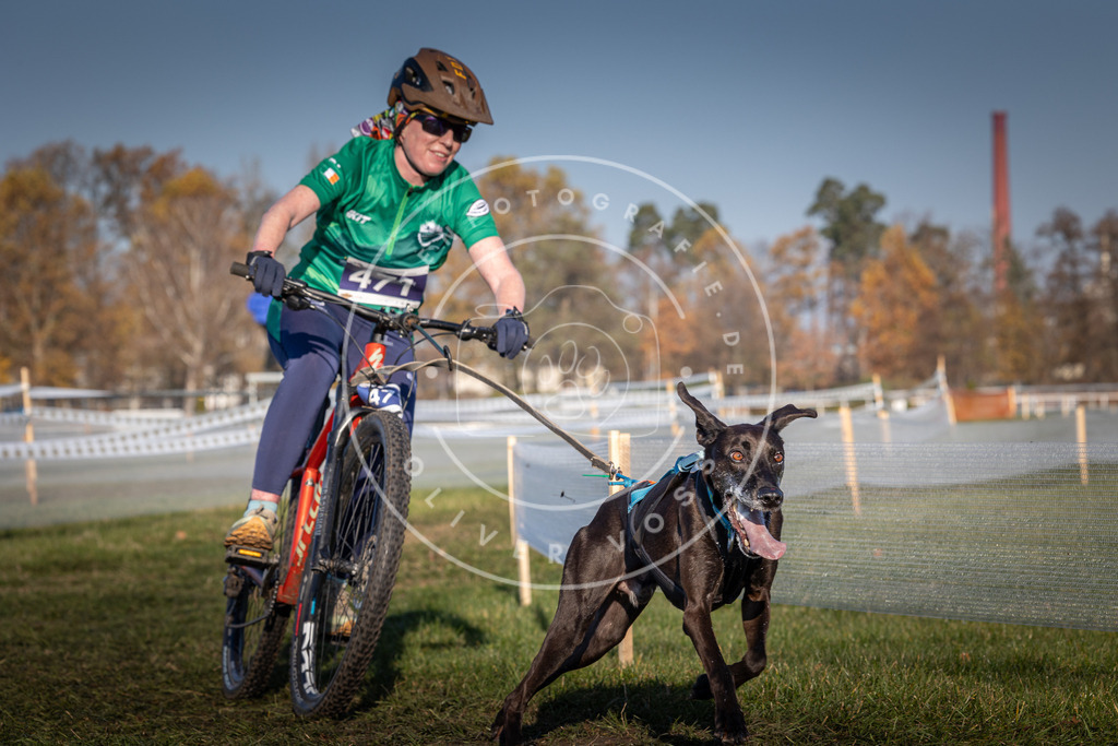 CaniXpix_0L8A4599 | Hundefotografie, Tierfotograf, Pfotenfotografie, Fotoshooting Hund, Hunde Portrait, Hundesport, Hundeportraits, Heideshooting, Hunde, Sportfotograf, Hundefotograf, Turnierhundsport, THS,  - Realisiert mit Pictrs.com