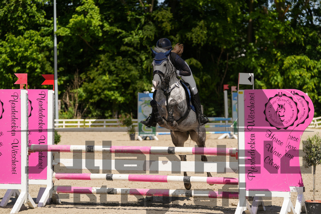 DSC02325 | Julian Held Fotografie - Realisiert mit Pictrs.com