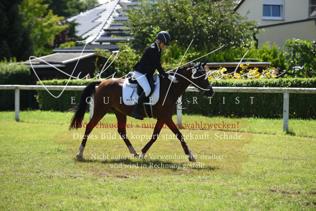 DSC_9574 | Pferde- und Turnierfotografie in Westsachsen. Pferdeportraits, Auftragszeichnungen und intuitive Kunst.