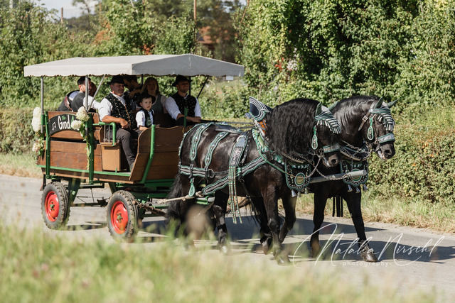 7V6A2827 | natalia-nirschl-photography