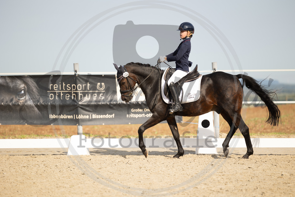 994A1397 | sabrinanicolaifotografie - Realisiert mit Pictrs.com