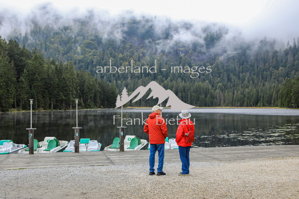 OE7A4334 | nur wenige Touristen haben sich an den großen Arbersee verirrt