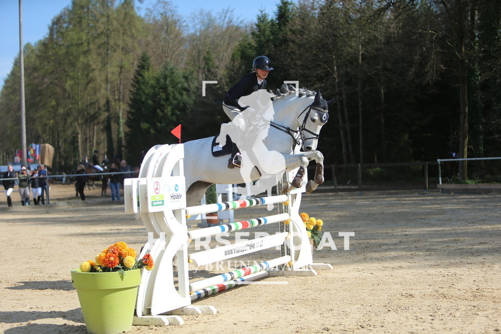 DL2Q0852 | Willkommen bei Brunnmayr - Design & Fotografie – Ihrem Spezialisten für Reitturniere und Pferdeveranstaltungen in Oberösterreich, Salzburg und Bayern! Seit über 17 Jahren sind wir leidenschaftlich dabei.