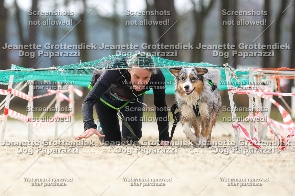 Dog Paparazzi - Strongdog North Mrz26-5364 | Dog Paparazzi Jeanette Grottendiek Fotografie & Videografie - Realisiert mit Pictrs.com