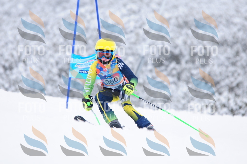 C3849 | holidayphoto