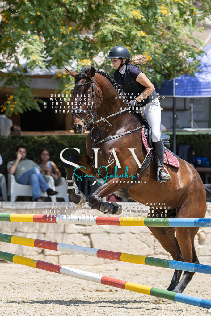 IMG_6538 | s-jay-photography - Realisiert mit Pictrs.com