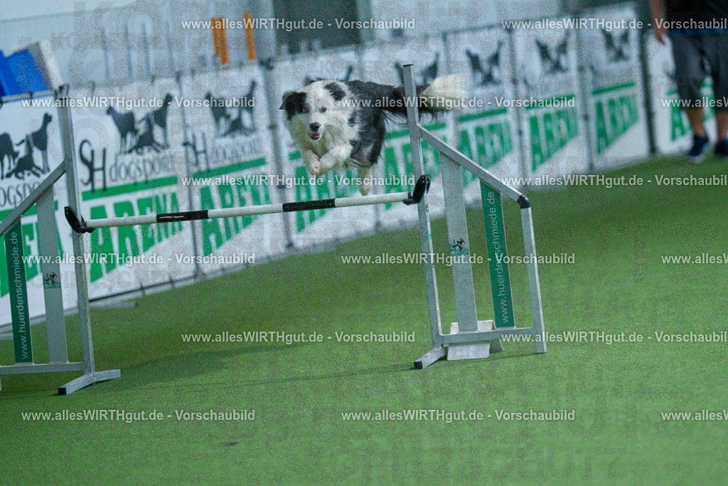 @allesWIRTHgut_Tierfotografie - www.allesWIRTHgut.de - 2604251435-7R505039 | Professionelle Tierfotografie in Mönchengladbach von Daniel Wirth (allesWIRTHgut). Liebevolle & natürliche Bilder von Hunden & Katzen für unvergessliche Erinnerungen.