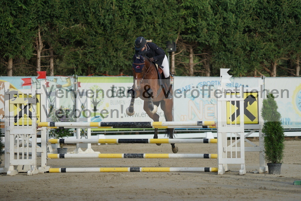DSC01519 | equestrian-live-com