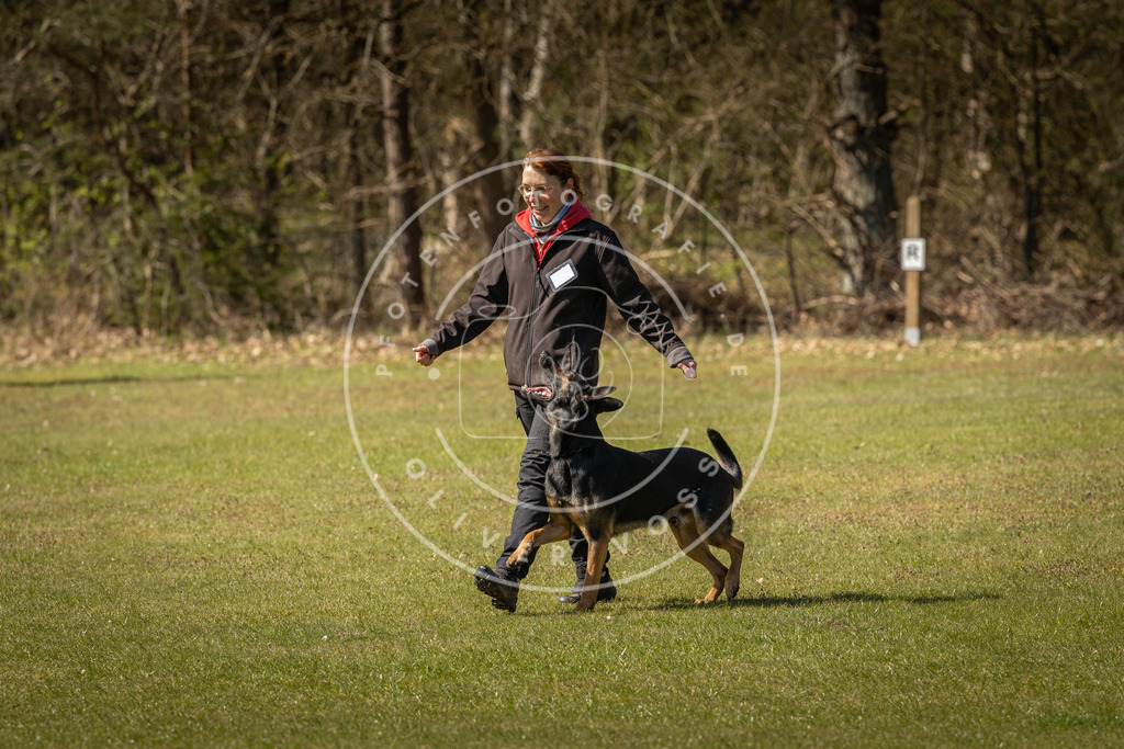 Pfotenfotografie_DV3A0931 | Hundefotografie, Tierfotograf, Pfotenfotografie, Fotoshooting Hund, Hunde Portrait, Hundesport, Hundeportraits, Heideshooting, Hunde, Sportfotograf, Hundefotograf, Turnierhundsport, THS,  - Realisiert mit Pictrs.com