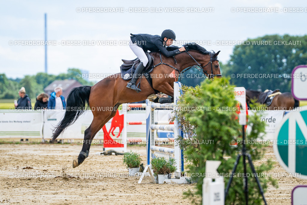 DSC05809 | Pferdegrafie