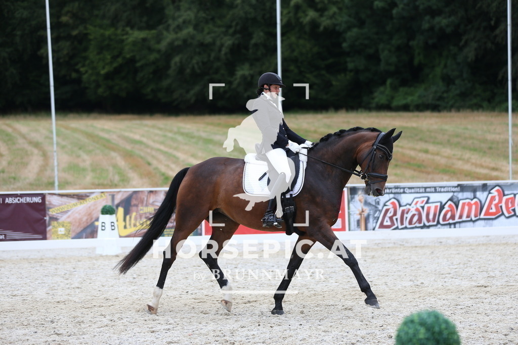 AS8V2184 | Willkommen bei Brunnmayr - Design & Fotografie – Ihrem Spezialisten für Reitturniere und Pferdeveranstaltungen in Oberösterreich, Salzburg und Bayern! Seit über 17 Jahren sind wir leidenschaftlich dabei.
