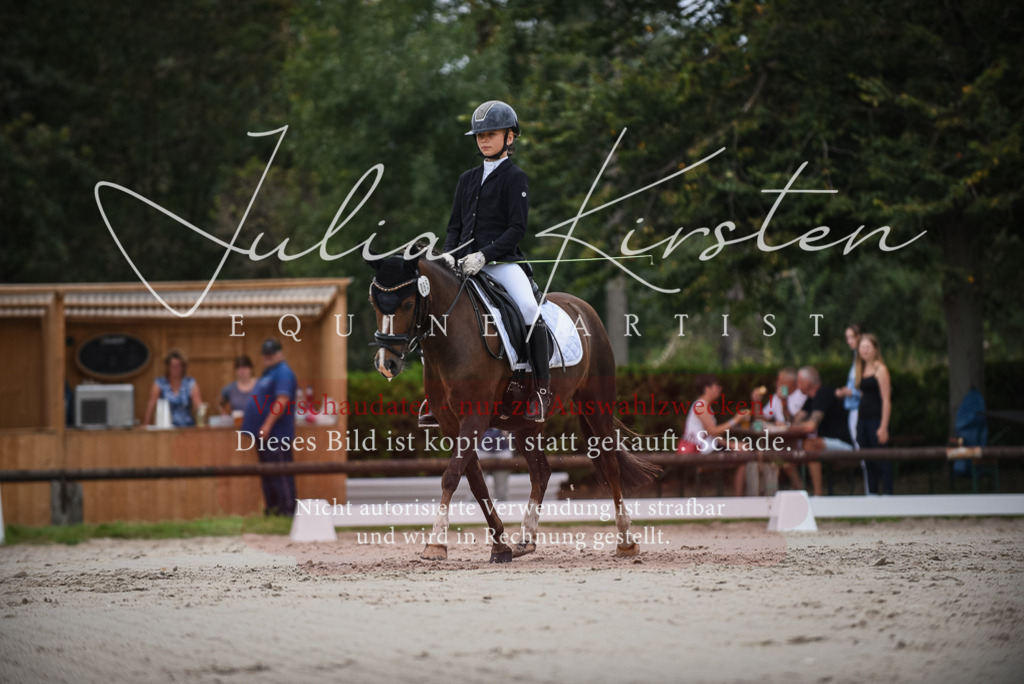 DSC_8124 | Pferde- und Turnierfotografie in Westsachsen. Pferdeportraits, Auftragszeichnungen und intuitive Kunst.