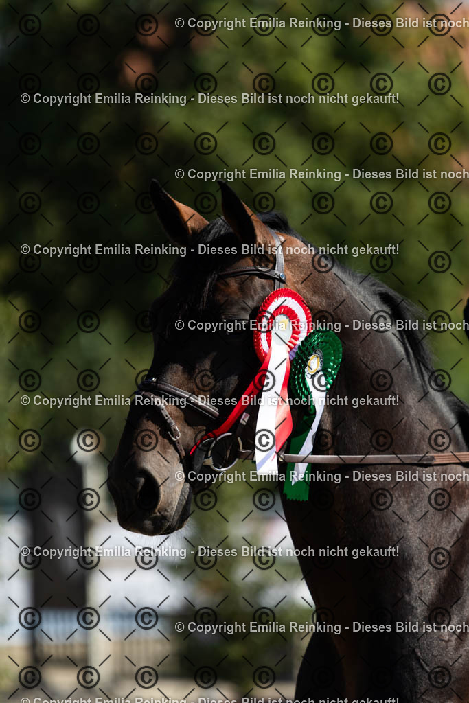 CL5A6550 | Emilia Reinking Fotografie - Realisiert mit Pictrs.com