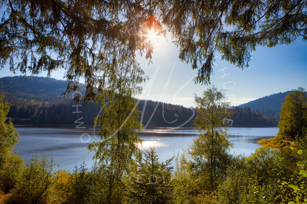 2020-09-15 Schwarzenbach Talsperre  - _MG_3668 | Ein Sommertag an der Schwarzenbach Talsperre - Realisiert mit Pictrs.com