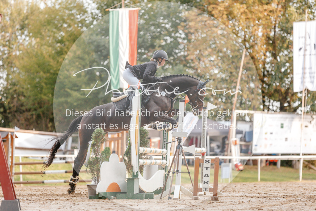 3I6A2163 | Stimmungsvolle Portraits und Reitsportfotografie im Ruhrgebiet und im Münsterland.

Pferdefotografie, Hundefotografie, Tierfotografie, Reportagen, Portraits von Tier und Mensch, Turnierfotografie in Bochum, Recklinghausen, Marl, Haltern am See, Dülmen.. - Realisiert mit Pictrs.com