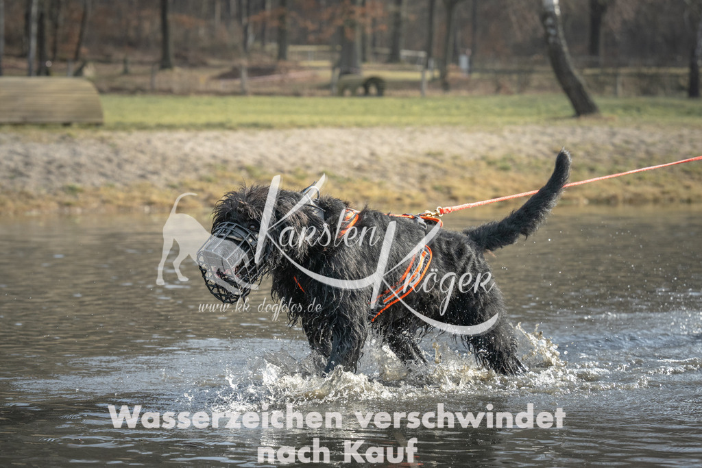 1020_ZZ96761 | kk-dogfotos