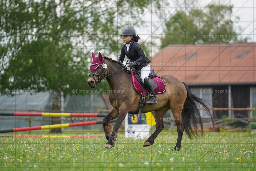 20240509-FAH02556 | Turnierbilder der Turnierfotografen Bayern, Pferdesport Fotografie, Reitsportbilder, Turnier Landberg am Lech, Turnierbilder bayern, Fotoagentur Herrmann