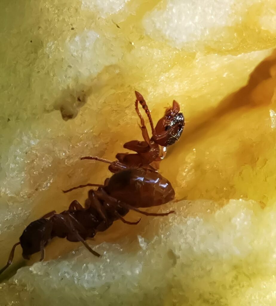 PSX_20220925_121330 | mtkfoto_ - Realisiert mit Pictrs.com