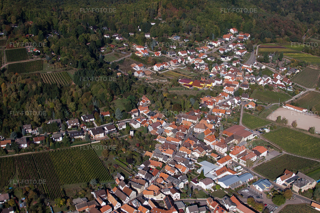 Luftbild: Hauptstr in Burrweiler im Bundesland Rheinland-Pfalz in Deutschland. Foto: IMG_22243.jpg vom 15.10.2009 durch Werner Riehm/FLY-FOTO.de