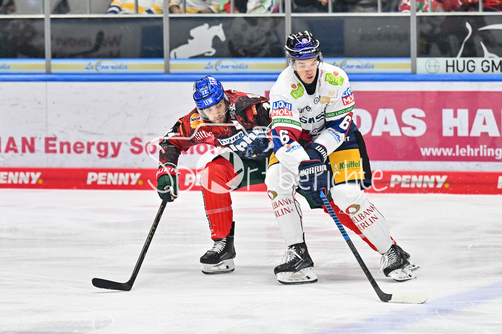 Augsburger Panther - Eisbären Berlin | Im Duell Mick KOEHLER (Augsburger Panther #11) und Kai WISSMANN (Eisbaeren Berlin #6) / Zweikampf / DEL: Augsburger Panther - Eisbaeren Berlin, Curt Frenzel Stadion am 31.10.2024