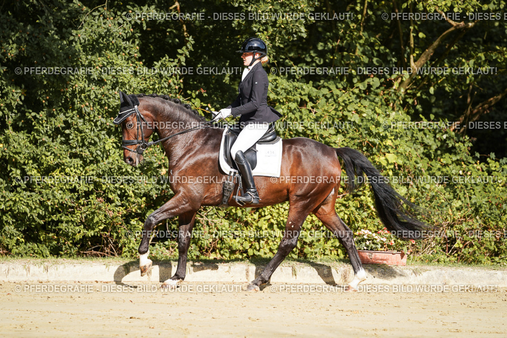 DSC07705 | Pferdegrafie