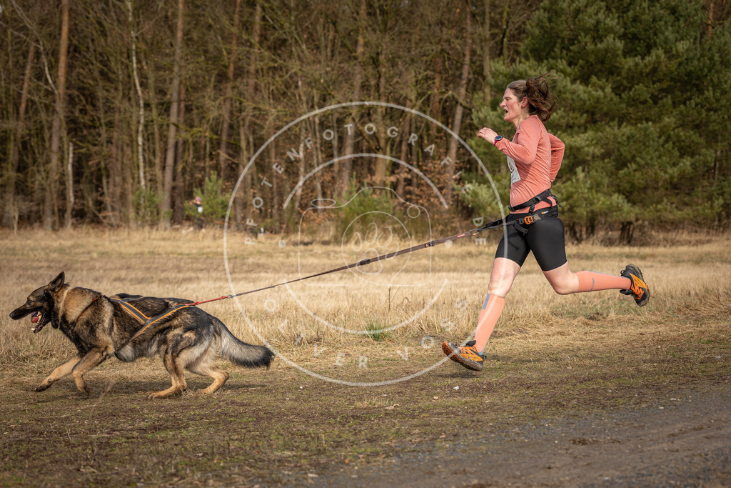 DV3A4005 | Hundefotografie, Tierfotograf, Pfotenfotografie, Fotoshooting Hund, Hunde Portrait, Hundesport, Hundeportraits, Heideshooting, Hunde, Sportfotograf, Hundefotograf, Turnierhundsport, THS,  - Realisiert mit Pictrs.com