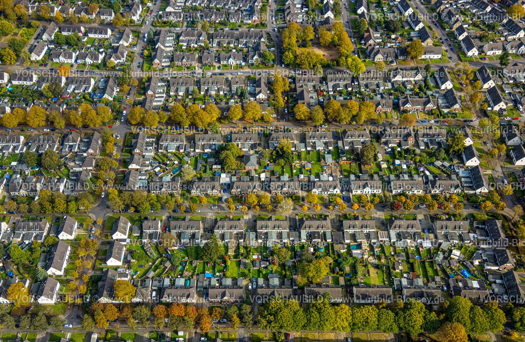 Moers241012963 | Luftbild, Zechensiedlung Arbeitersiedlung Meerbeck, Baumallee und Bäume in Herbstfarben, Formen und Farben, Rheinkamp-Meerbeck, Moers, Ruhrgebiet, Nordrhein-Westfalen, Deutschland