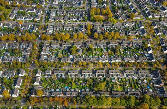 Moers241012963 | Luftbild, Zechensiedlung Arbeitersiedlung Meerbeck, Baumallee und Bäume in Herbstfarben, Formen und Farben, Rheinkamp-Meerbeck, Moers, Ruhrgebiet, Nordrhein-Westfalen, Deutschland