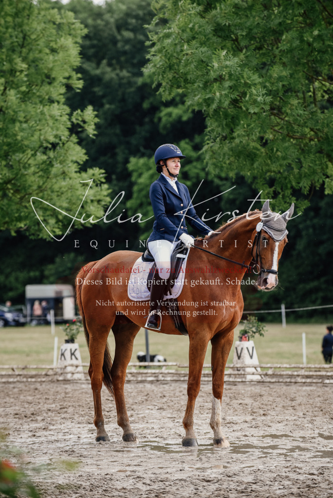 DSC_9889 | Pferde- und Turnierfotografie in Westsachsen. Pferdeportraits, Auftragszeichnungen und intuitive Kunst.