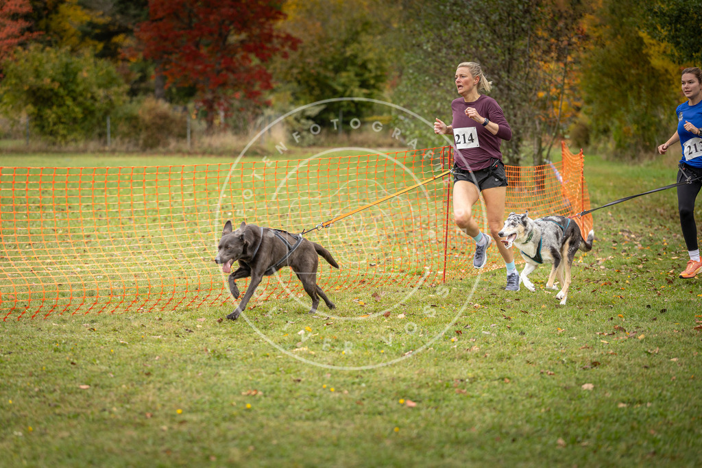 Pfotenfotografie_DV3A4757 | Hundefotografie, Tierfotograf, Pfotenfotografie, Fotoshooting Hund, Hunde Portrait, Hundesport, Hundeportraits, Heideshooting, Hunde, Sportfotograf, Hundefotograf, Turnierhundsport, THS,  - Realisiert mit Pictrs.com