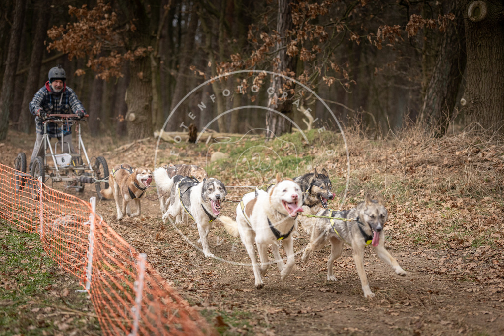 Pfotenfotografie_DV3A2262 | Hundefotografie, Tierfotograf, Pfotenfotografie, Fotoshooting Hund, Hunde Portrait, Hundesport, Hundeportraits, Heideshooting, Hunde, Sportfotograf, Hundefotograf, Turnierhundsport, THS,  - Realisiert mit Pictrs.com