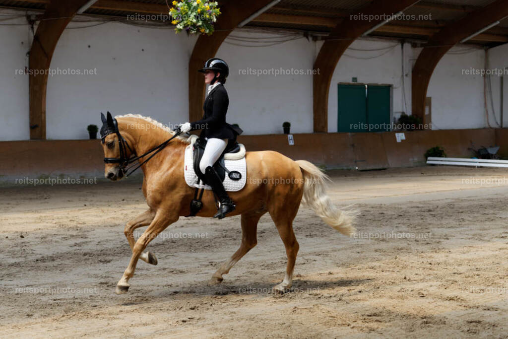 JHE32178 | JoYa Fotografie - Realisiert mit Pictrs.com