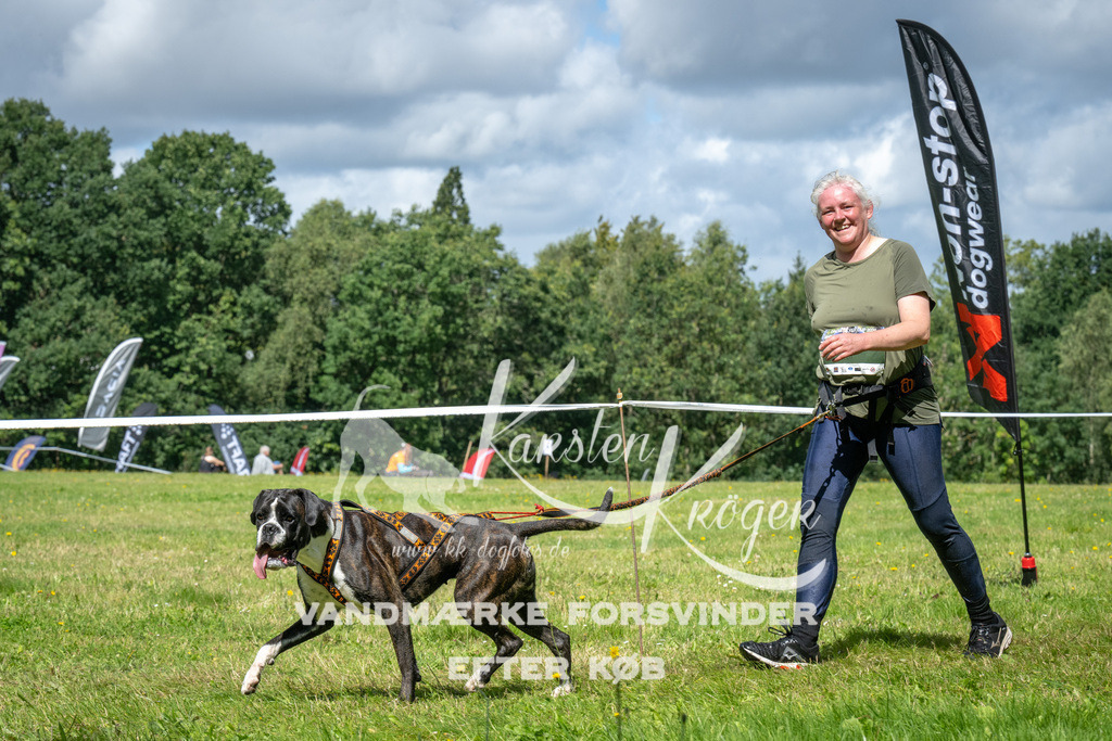 1256_ZZ94489 | kk-dogfotos