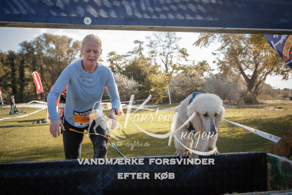 1220_ZZ95557 | kk-dogfotos