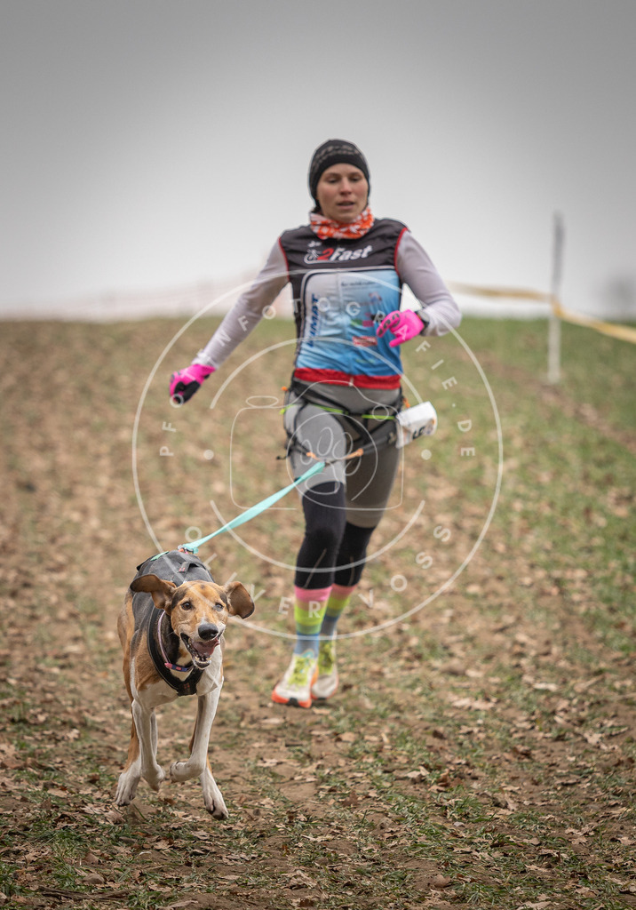 Pfotenfotografie_DV3A4938 | Hundefotografie, Tierfotograf, Pfotenfotografie, Fotoshooting Hund, Hunde Portrait, Hundesport, Hundeportraits, Heideshooting, Hunde, Sportfotograf, Hundefotograf, Turnierhundsport, THS,  - Realisiert mit Pictrs.com