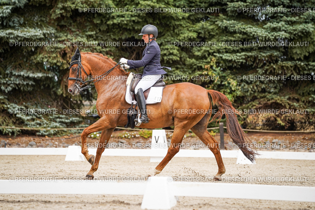 DSC05005 | Pferdegrafie